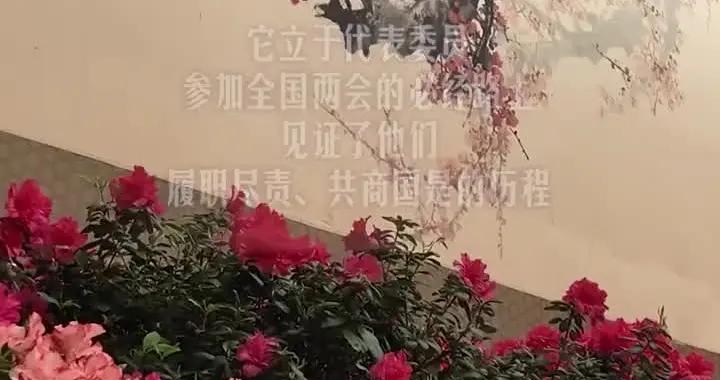 此行間·“梅花香自苦寒來”，總書記寄語奮鬥的你