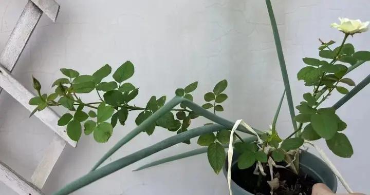 能處10年的朋友，可能就在溼垃圾桶裏