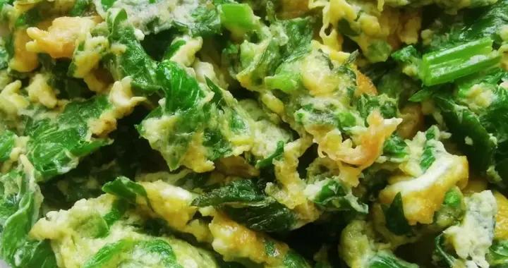 很多人只喫莖，葉子別扔了，1塊1一斤，跟雞蛋炒一炒，鮮到不行