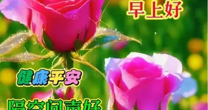 隨時添衣保康健，別忘防備倒春寒！大家早晨好!