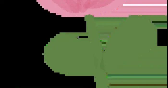 世界腎臟日 | 體檢只查腎功能，夠嗎？