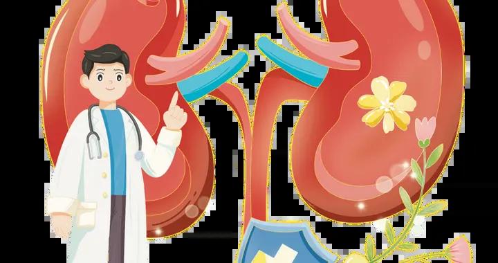 用中醫智慧守護您的“先天之本”