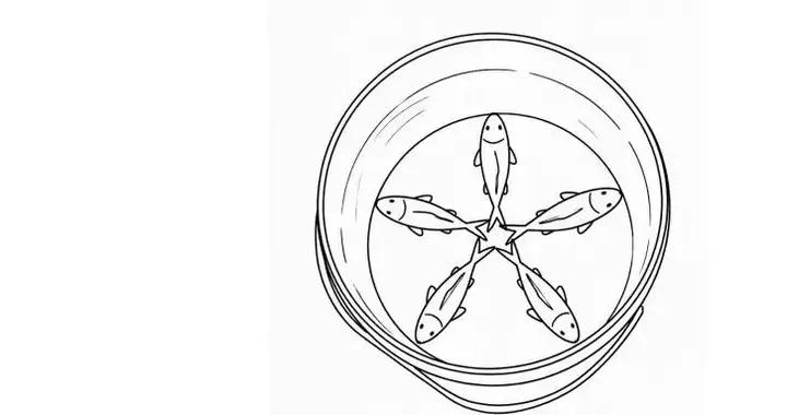 水桶裏的活魚擺出星型陣，不是懂禮貌而是快憋死了