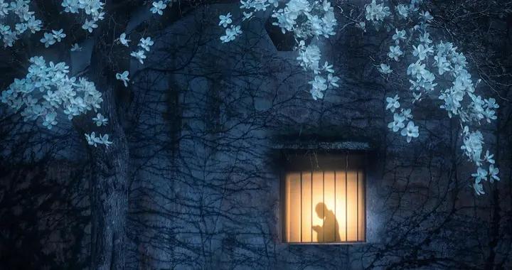 3、4月最應該去哪兒玩？推薦這12個賞春地，閉眼衝，錯過再等一年