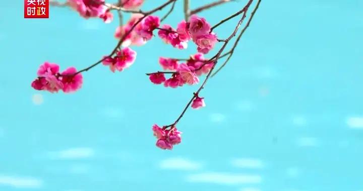 時政微紀錄丨奮進春光裏——習近平總書記出席2026年全國兩會紀實