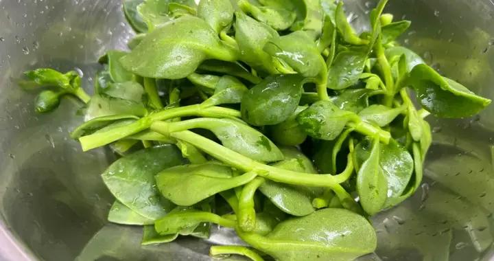 薺菜、蒲公英靠邊站，3月遇到這菜別錯過！營養好喫，特解饞！