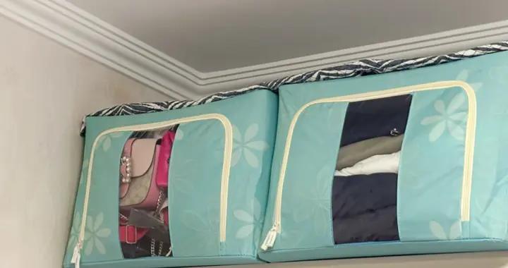 貓在家丟了，3個人找幾小時，結果貓在這？網友：家拆了都找不到