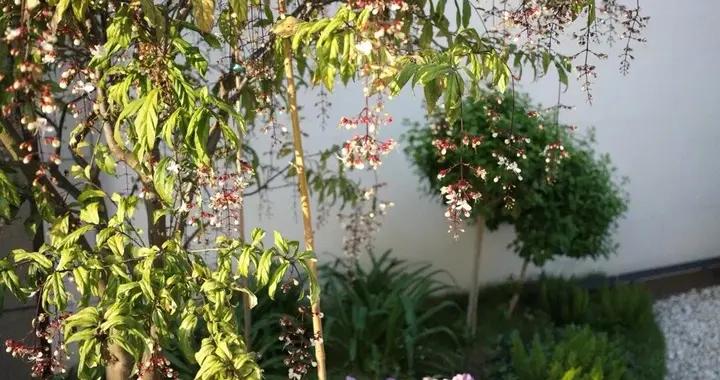 來自天南地北的春日穿搭和美景，都太美了吧！