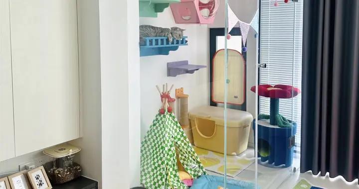 湖北女生的1㎡陽臺“貓房”火了：玻璃做隔斷，再也不怕3只貓拆家