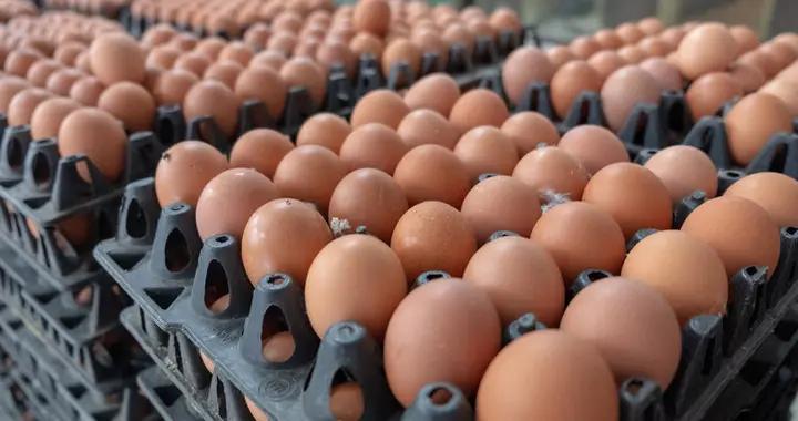 浙大研究：每天多喫一個蛋，心臟疾病和癌症死亡風險增加？可信嗎