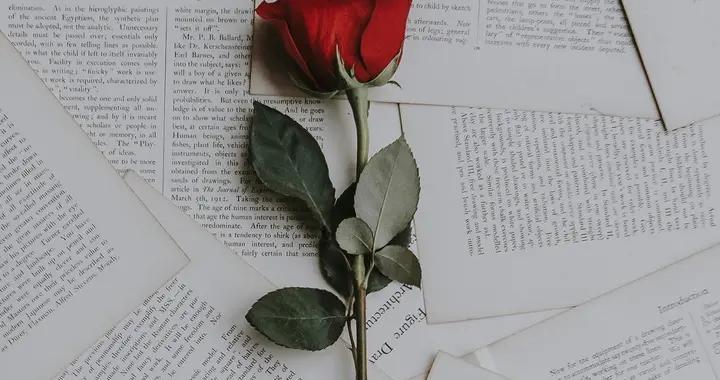 人生，最好的活法：“禪”