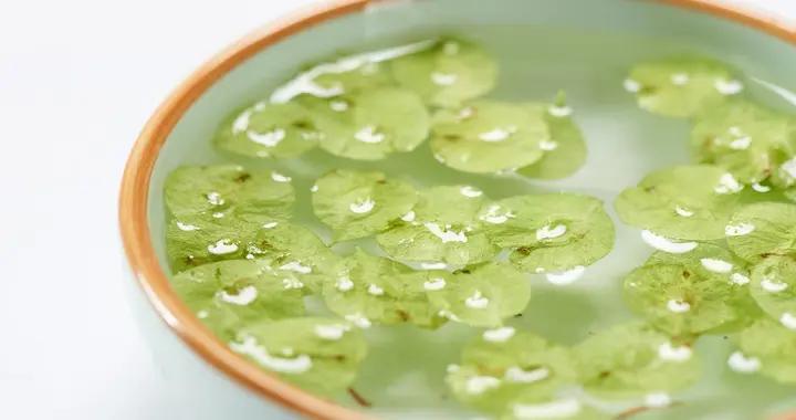 銅錢草泡水喝安全嗎？選對來源是關鍵，禁忌人羣要避開