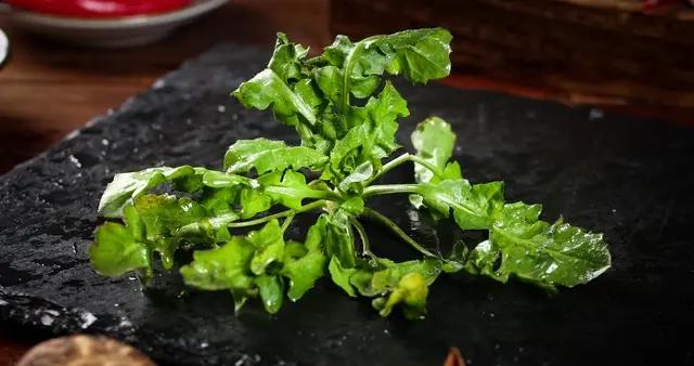 春季必喫的應季養生蔬菜，清爽又養人