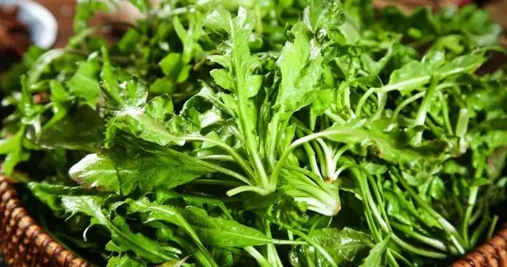 又到了山西人開始喫“花花草草”的季節！網友：春風十里，不如野菜一席~