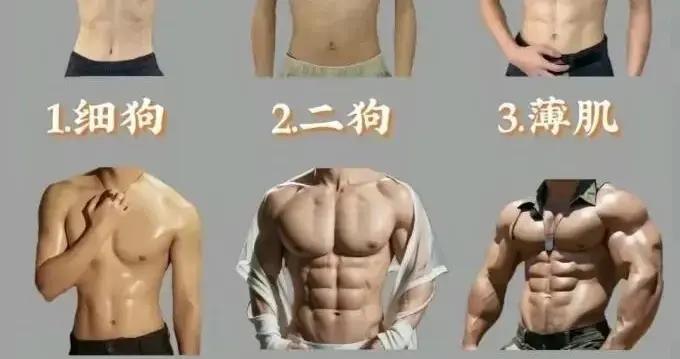 脂包肌和薄肌的區別，一文讓你看明白！