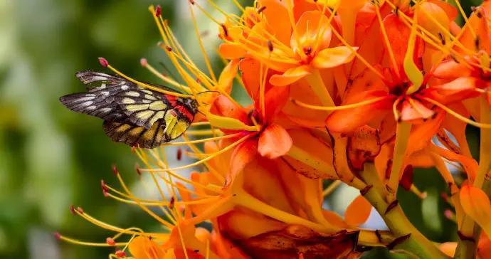 直播預告丨又有冷空氣夜闖廣東！網友：我的穿衣，有點亂啊