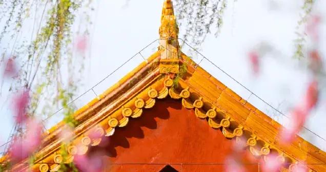 龍抬頭，必做6件事，迎來一年好兆頭