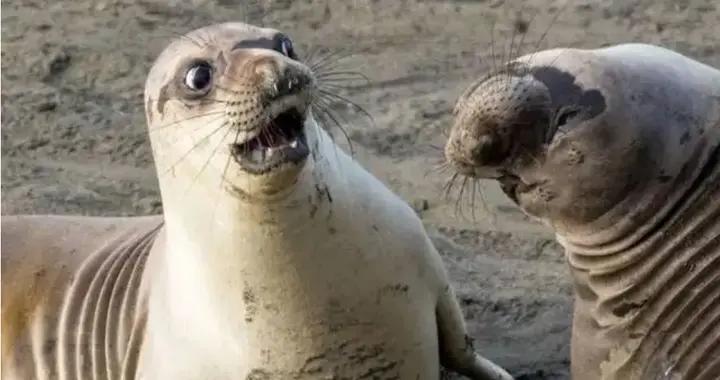 笑一笑十年少，最新的13個極品幽默笑話，都是專冶不開心的段子