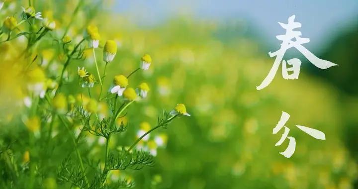 不是迷信！明日二月二撞春分，最不能做的6件事，別忘了告訴家人