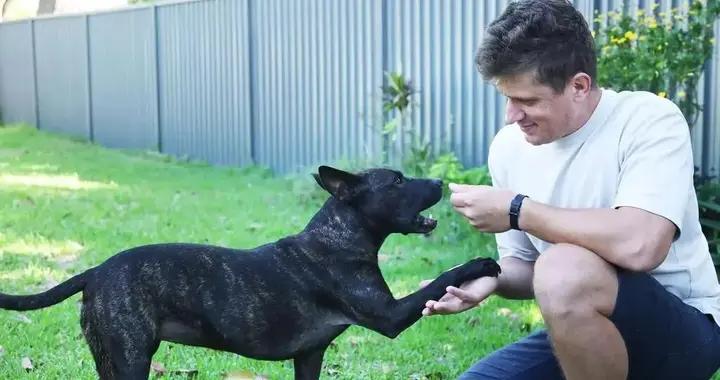 “問兩句 AI” 就能開發抗癌疫苗？真相可不是這樣