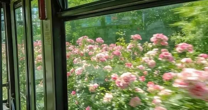 上新|| 她們說，找到了自己的人生裙子！