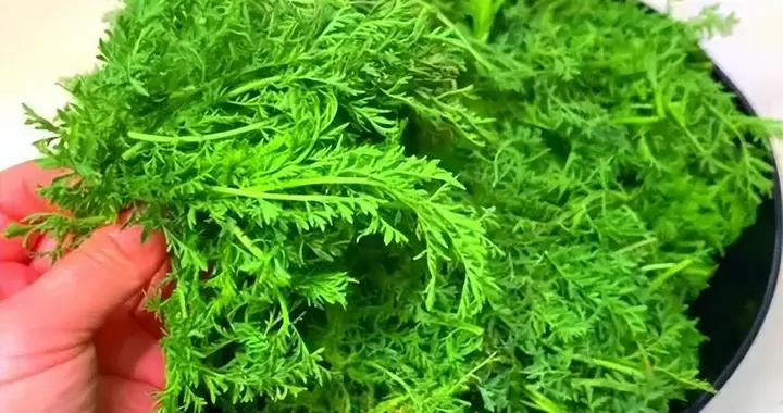 這菜正當季，可惜很多人當草，3月農村遍地是，蒸包子喫真香！