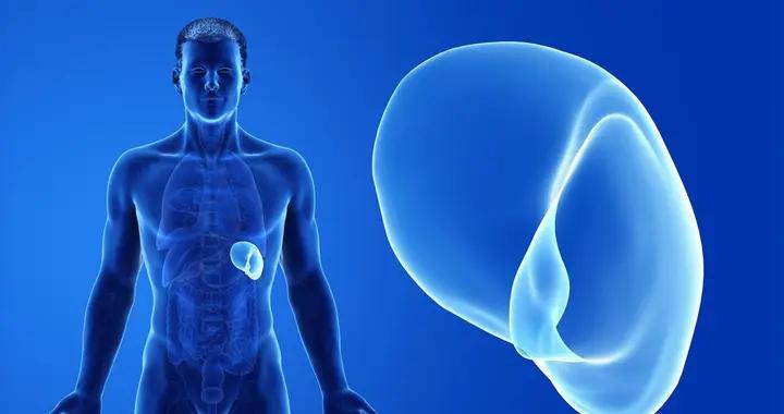 肝的位置搞不清？醫生：記住這幾個體表標誌，判斷異常很簡單