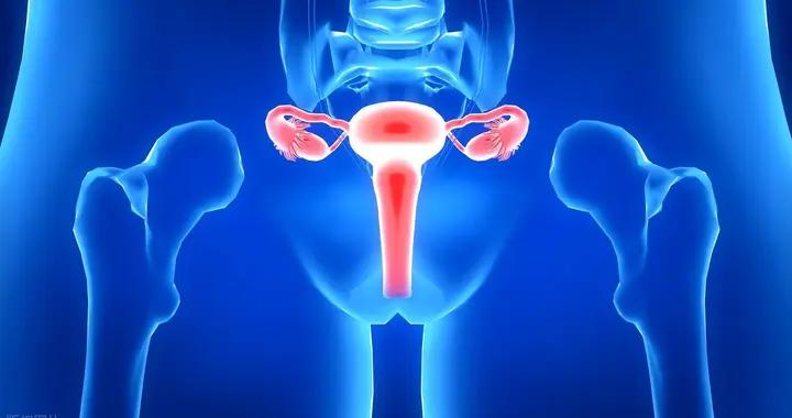 B超看不出輸卵管堵塞？確診需做這項檢查，時間別選錯