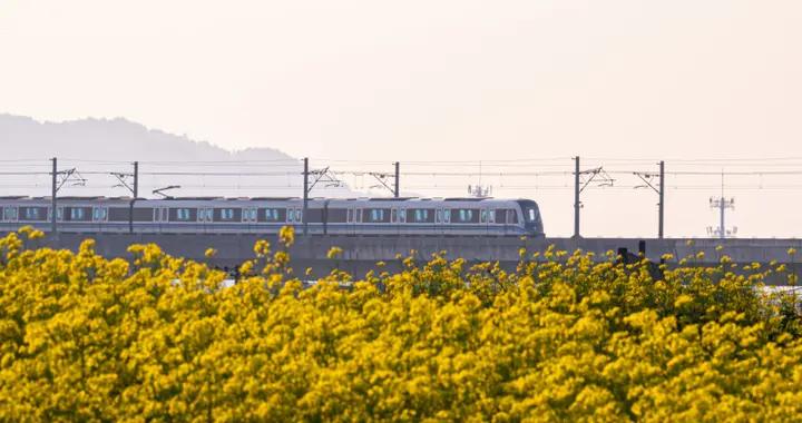 旅遊專列大盤點，你最想走哪條線？