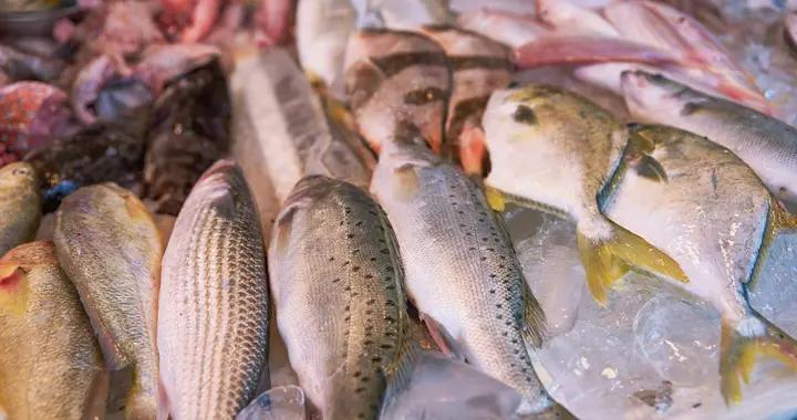 這4種魚，可能含有甲醛和重金屬，建議：還是少喫比較好！