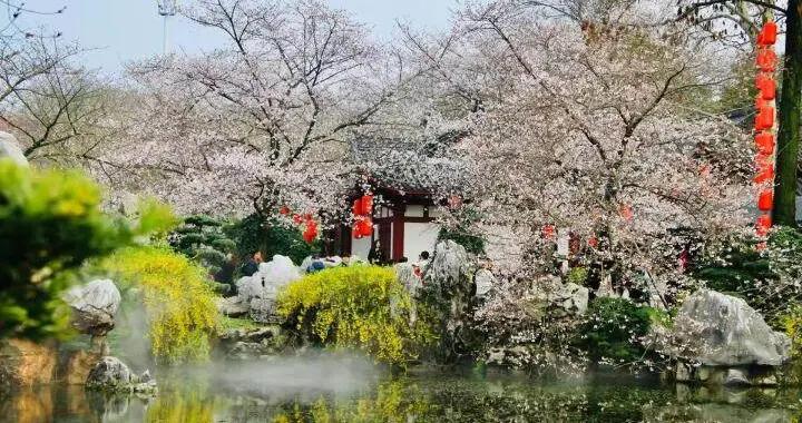 武漢，把春天種在了每一處角落