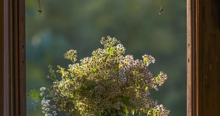 春分：陰陽相半順春氣，養出好體質
