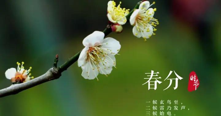 今日春分，60年一遇不一般，建議：喫2樣，喝2樣，做2事，樂過春