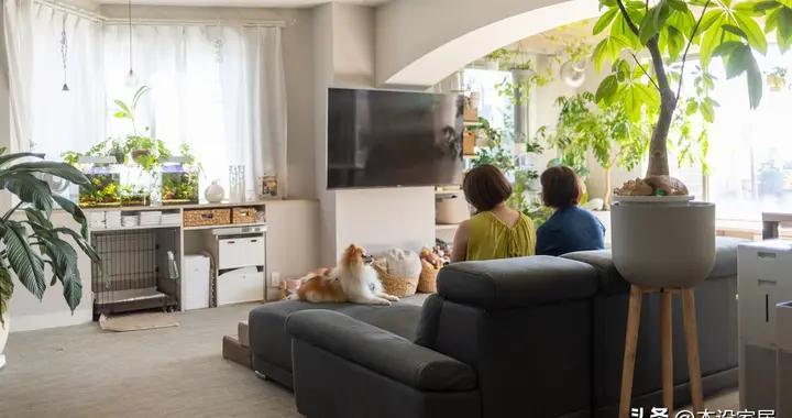 兩個女生的家：60㎡，舒適又幹淨，太好宅了！