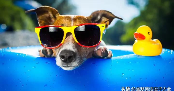 11個最新爆笑幽默段子，巨搞笑，個個爆笑不斷，看完太解壓了