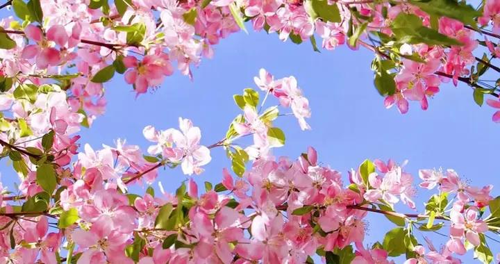 今年春分恰逢龍抬頭，知三宜，避三忌，做好一年鴻運當頭！