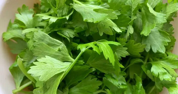 春天，用這菜包餃子，比韭菜、薺菜還鮮，不懂喫真可惜！