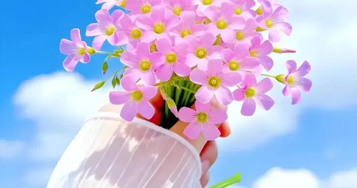 週六早安圖片|願你不慌不忙，自有歲月犒賞，早安