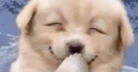 最新13個笑斷氣的極品幽默笑話，能把人笑岔氣，足夠笑破你的肚子