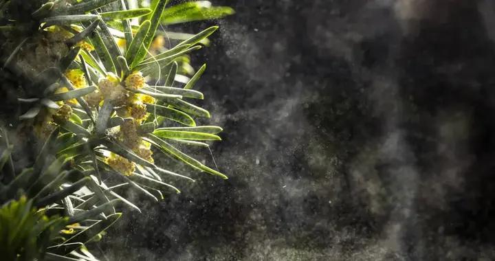 過敏高峯季，回家後重點洗這個部位（不是臉）