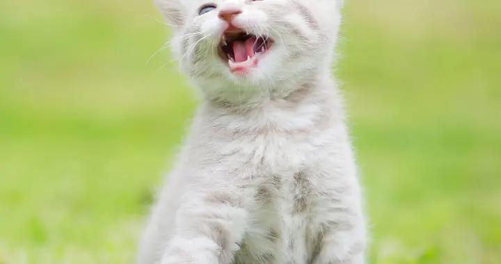 14個爆笑段子，笑點拉滿，巨搞笑，太解壓了，老婆笑得花枝亂顫