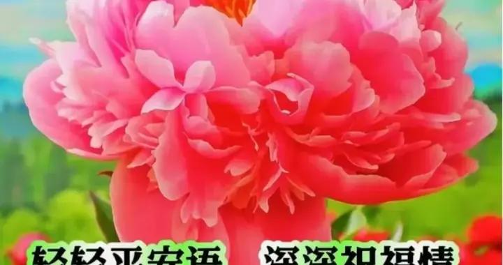 2026年3月22日二月初四早上好，週日早安祝福語和早安祝福圖片