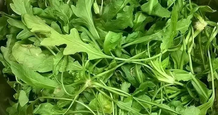 3月，遇到這菜別手軟，比韭菜、菠菜還鮮，用它包餃子喫真香！