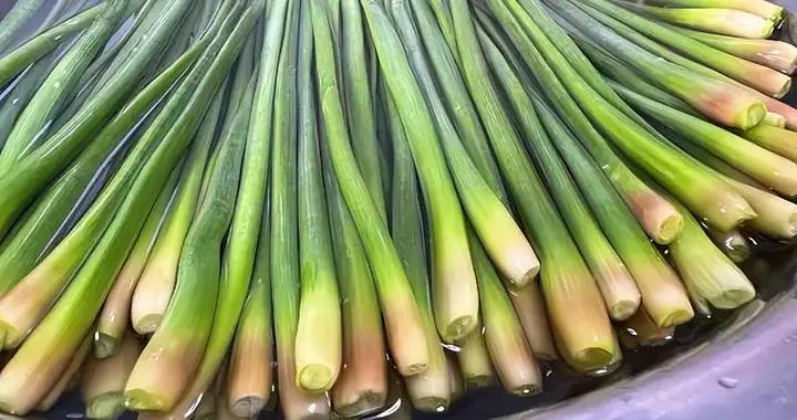 很多人只喫莖，其實尾巴纔是寶，簡單家常做法，上桌家人都愛喫