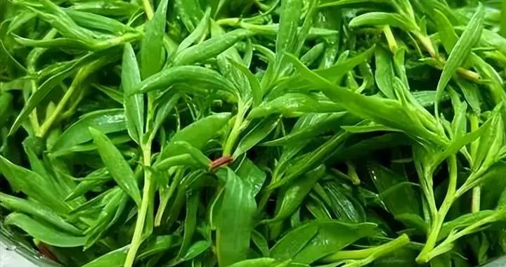 4月，遇見這菜使勁喫！鮮嫩正當季，食用期很短，不懂喫可惜了！