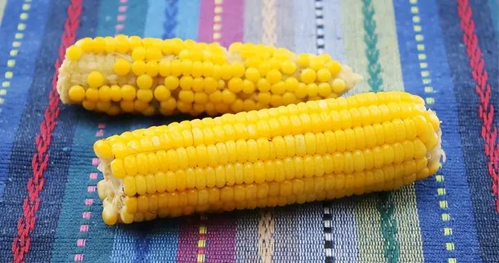 不止米飯麪條！這些高澱粉食物藏身邊，分類瞭解不踩雷