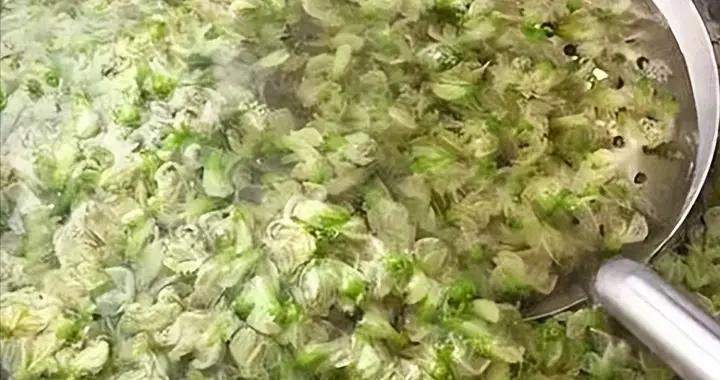 春天，碰到這食材別錯過，一次多囤些放冰箱凍起來，蒸包子喫真香