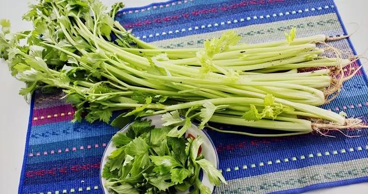 脹氣放屁太尷尬？醫生推薦日常調理法，從根源上解決“難言之隱”