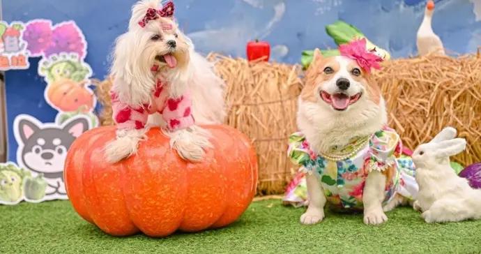 探索“健和美”生活方式，這個家門口的好去處帶來心靈之旅