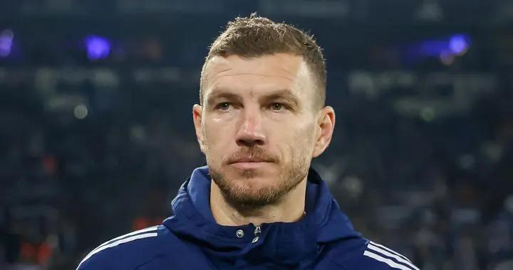 沙爾克官方：哲科在世預賽中肩膀受傷，將缺席對卡爾斯魯厄比賽